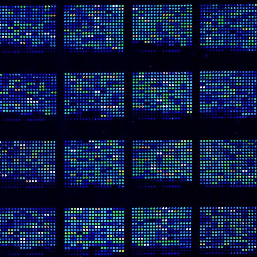 microarray (1)