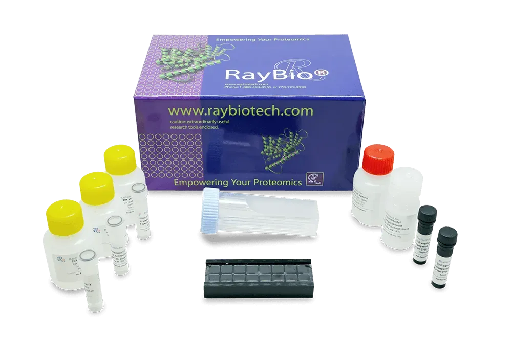 Quantibody Multiplex ELISA