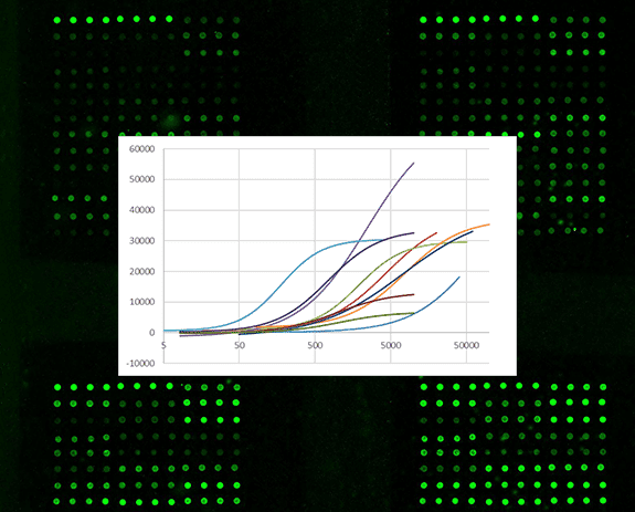 Quantitative antibody array spots with standard curves