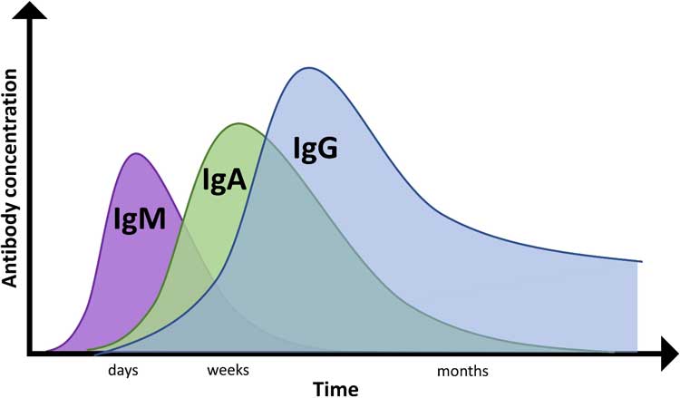 general-antibody-profile
