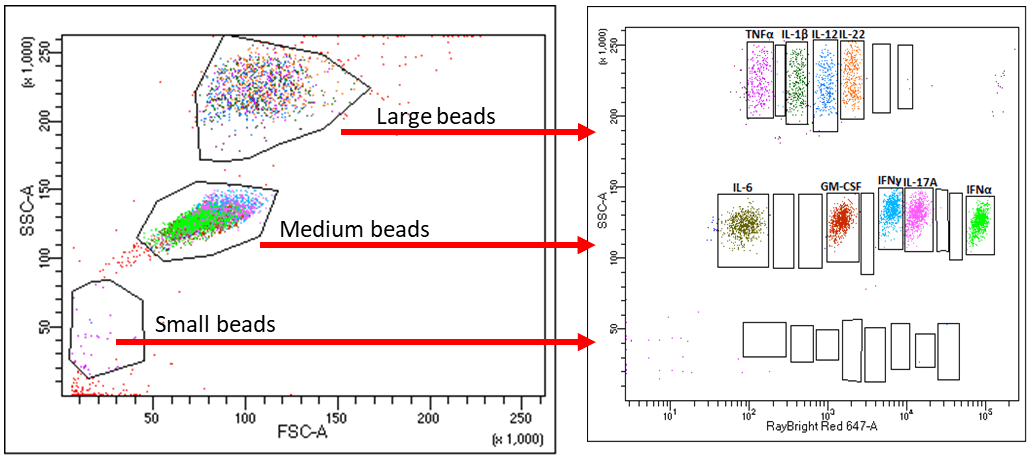 Multiplex Bead Array Detection of Antibodies