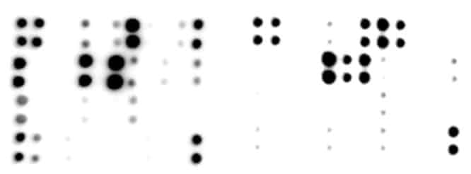 C-Series-Array-1000-Data