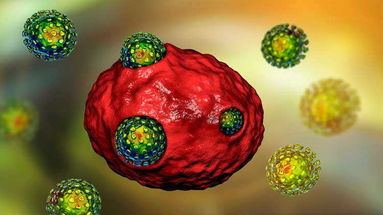 sars-cov-2-viral-entry