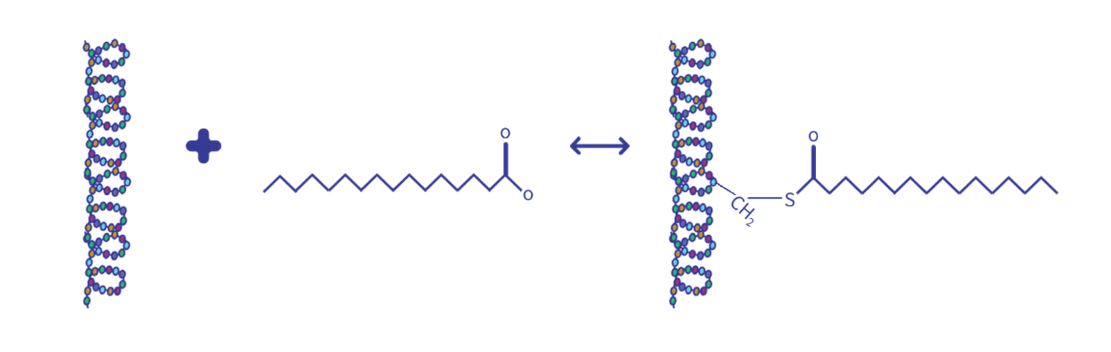 Acylation