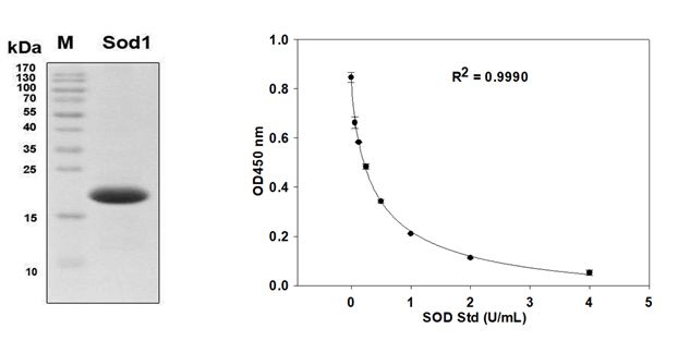 QA-Service-Figure-2