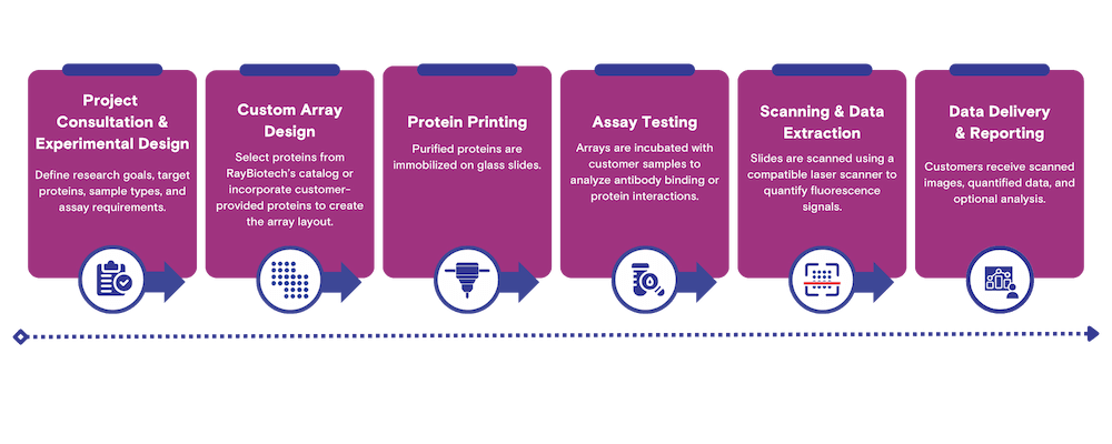 customproteinarray_workflow