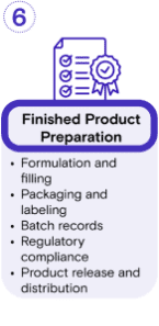 GMP Protein Workflow-6