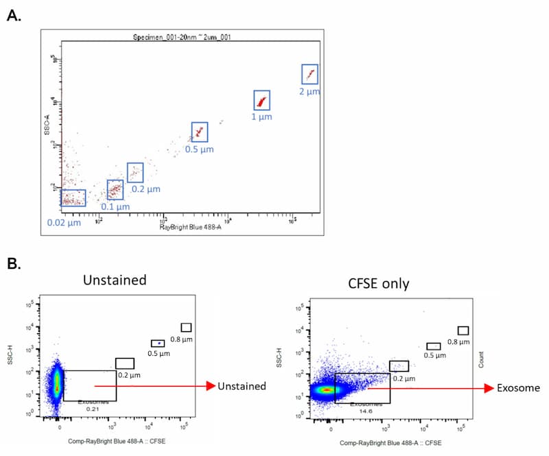 Exosome Counting and Quality Assessment Image