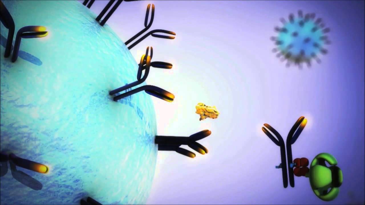 How Simoa Works