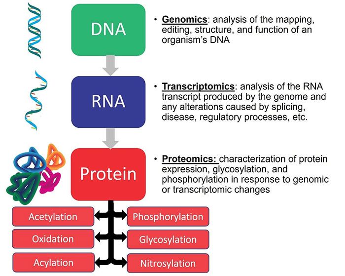 RayBiotech-Multiomics-Services-Outline