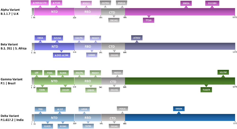 sars-cov-2-variants