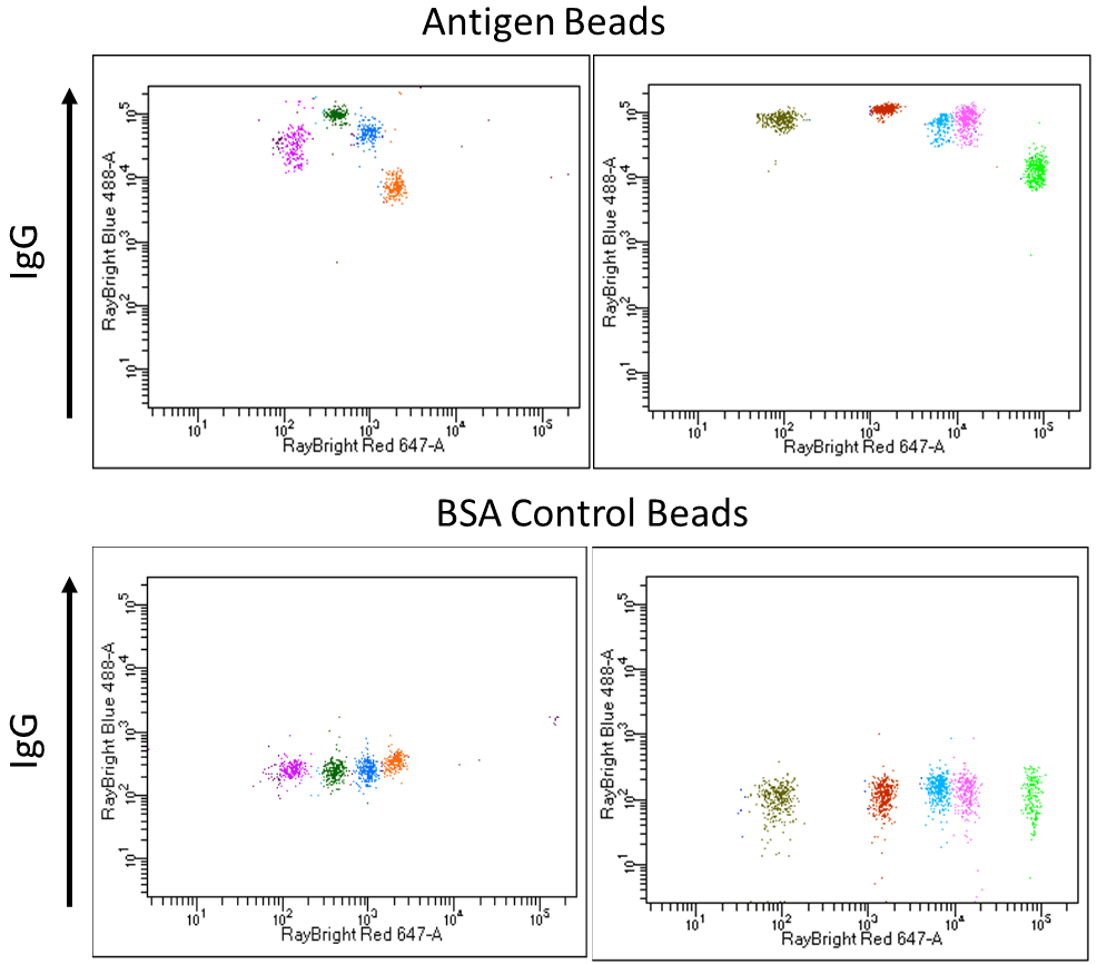 Determination of Positivity Based on MFI Ration Between Antigen Beads and Control Beads
