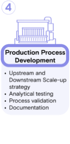 GMP Protein Workflow-4