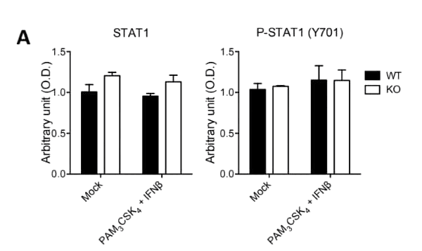 phospho-ELISA-data-figure