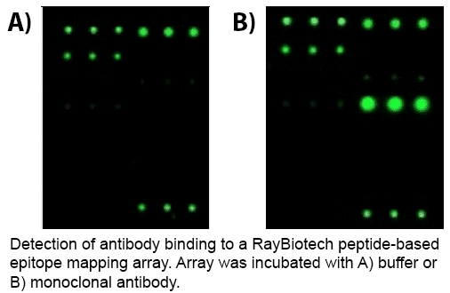 epitope-mapping-array-1