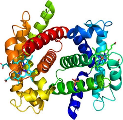 protein-molecule-circle